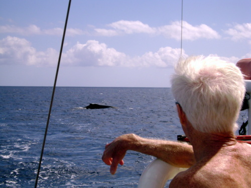 A really close whale (looking over Tom from CT's shoulder)